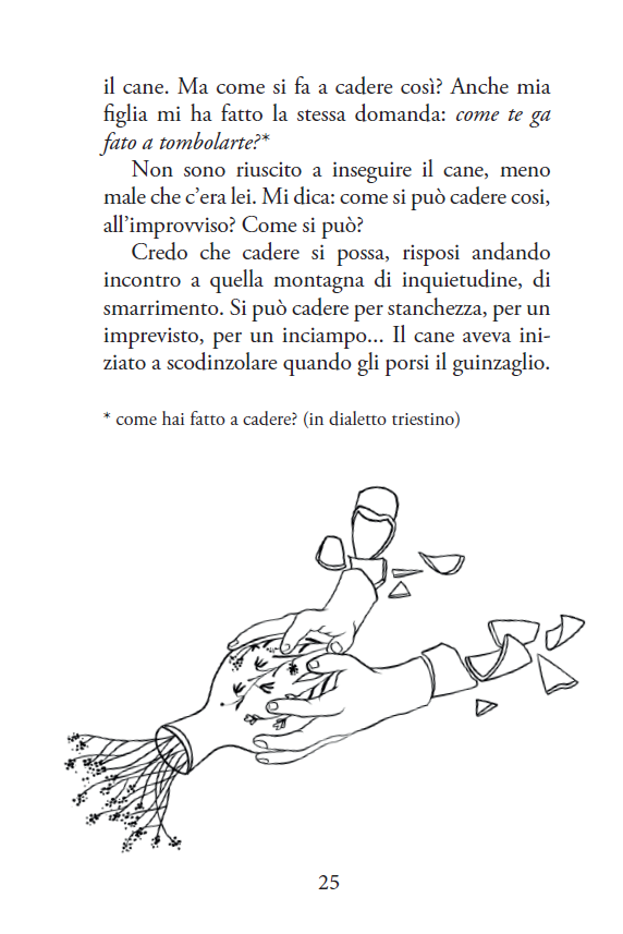 SGUARDI - immagine 3