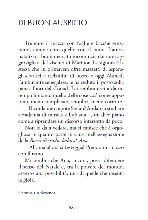 SGUARDI - immagine 6