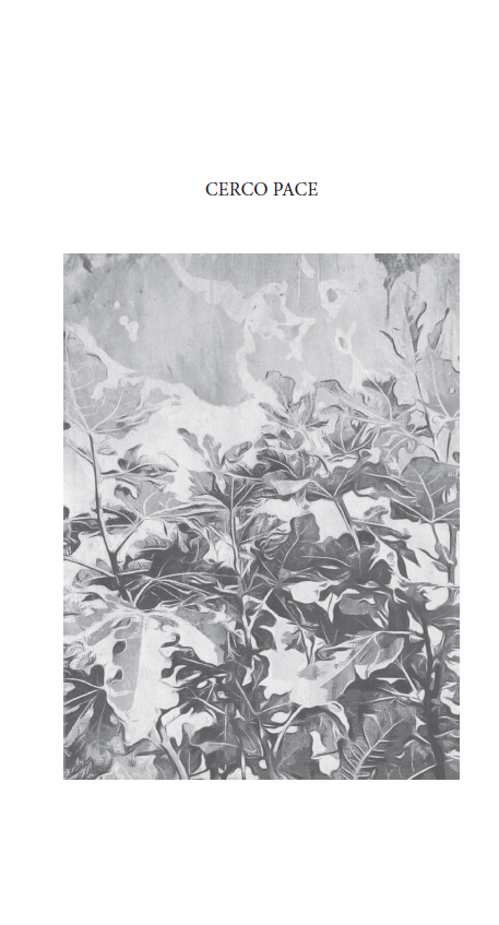 GRAMIGNA DELL'EDEN - immagine 6