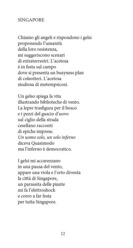 GRAMIGNA DELL'EDEN - immagine 7