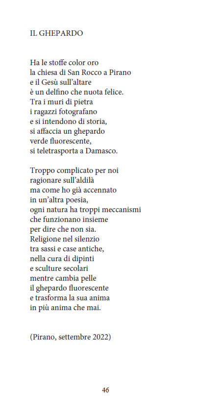 GRAMIGNA DELL'EDEN - immagine 11