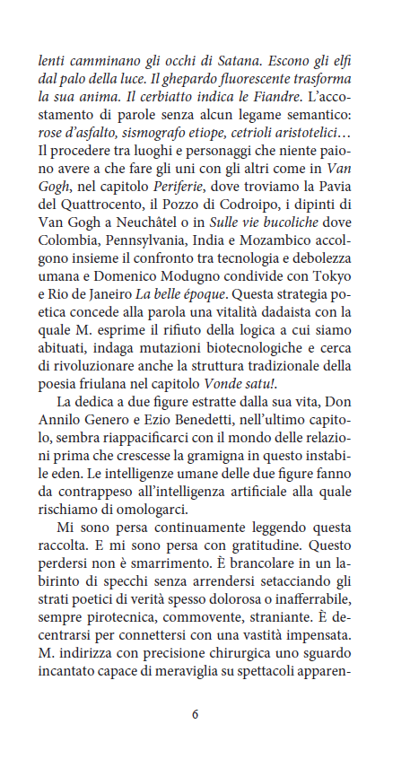 GRAMIGNA DELL'EDEN - immagine 3
