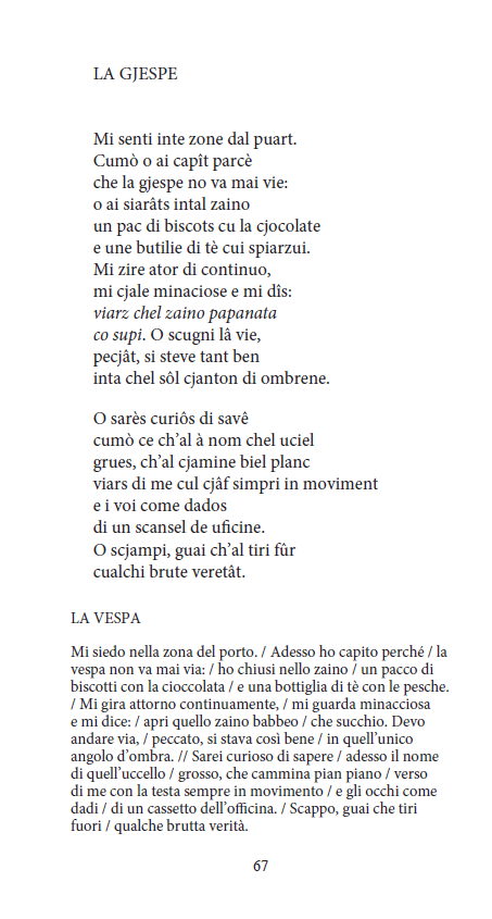 GRAMIGNA DELL'EDEN - immagine 13