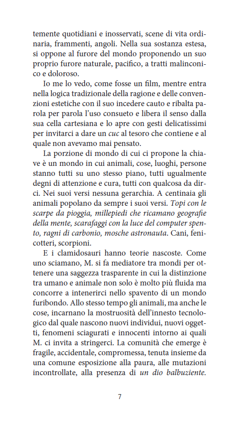 GRAMIGNA DELL'EDEN - immagine 4