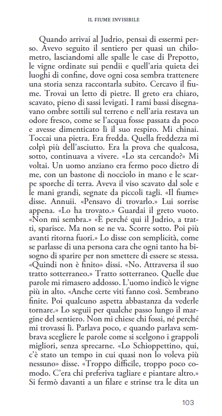 PREPOTTO. I RACCONTI DELLO SCHIOPPETTINO VI - immagine 13