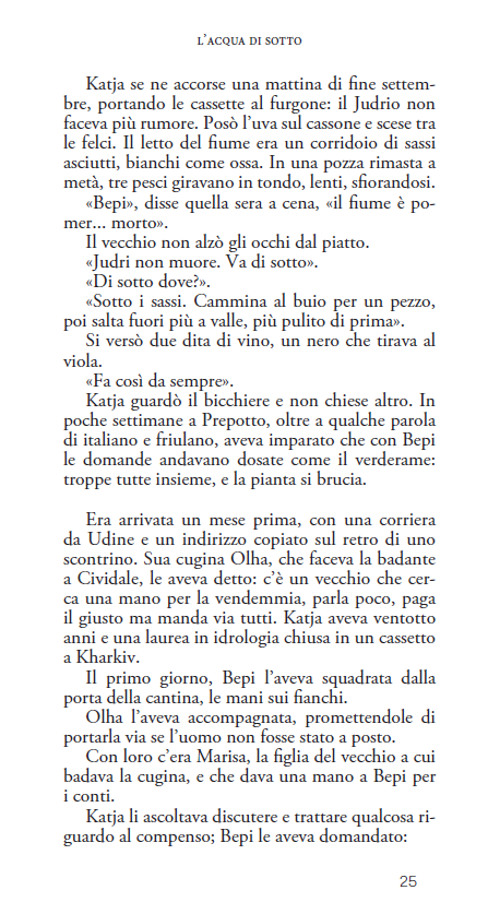 PREPOTTO. I RACCONTI DELLO SCHIOPPETTINO VI - immagine 3